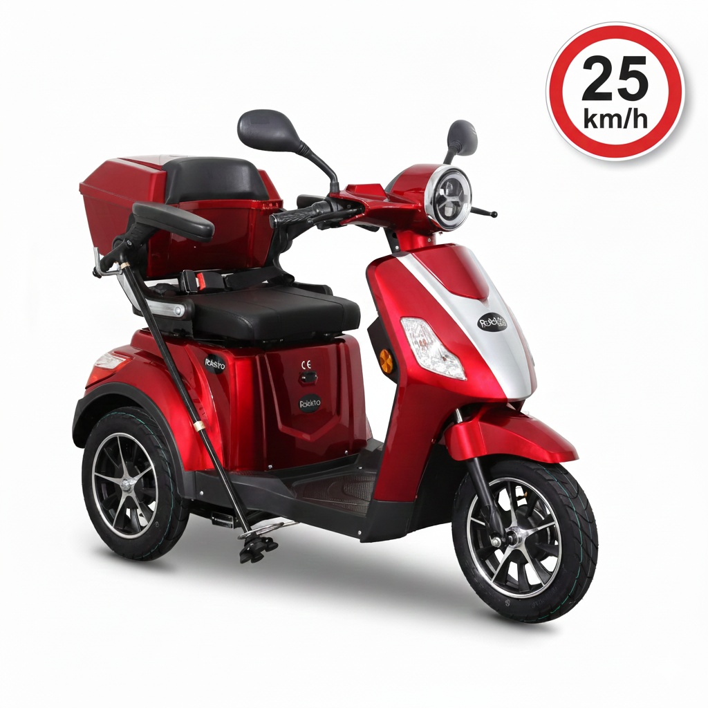 Rolektro E-Trike 25